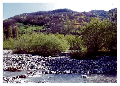 Scorcio del torrente Stàffora (loc. Ranzi)