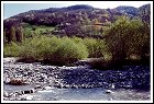 Scorcio del torrente Stàffora (loc. Ranzi)